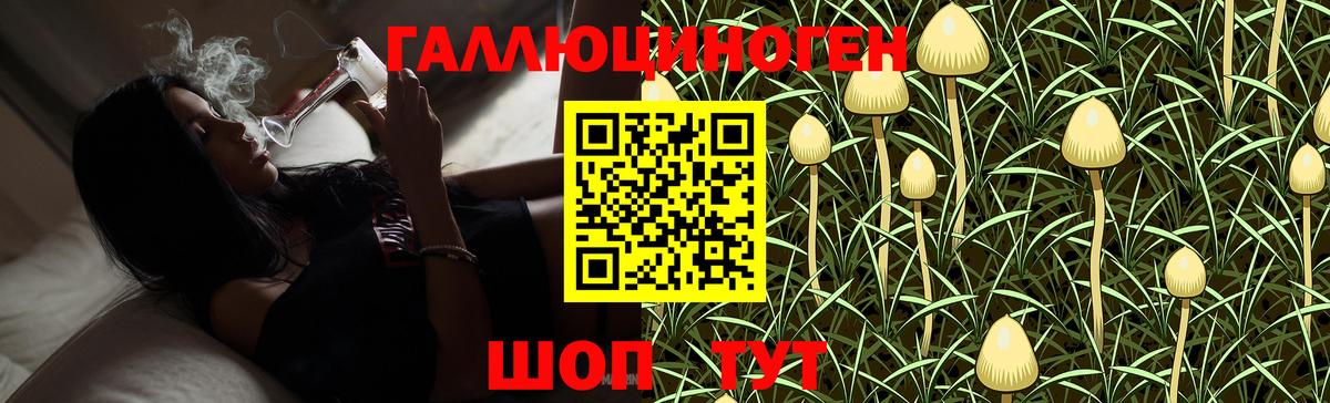 Амурск  Псилоцибиновые грибы Cubensis  Вход с VPN  Галлюциногенные грибы MAGIC MUSHROOMS 
