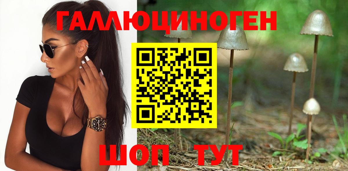 Галлюциногенные грибы прущие грибы Амурск