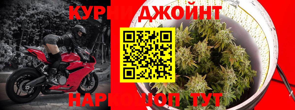 Бошки Шишки сатива Амурск